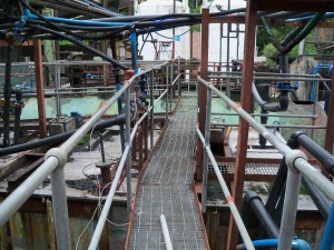 Health and Safety in the Workplace 2