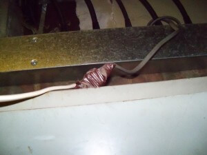 Please, don't walk past